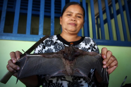 ◆インドネシアのコウモリ食。それくらいなら何とか食べられる？