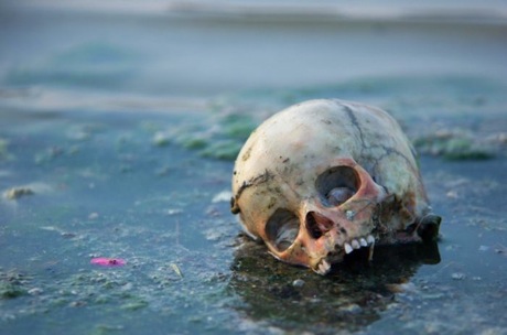◆インドのガンジス川に死体が流れているというのは本当の話だ