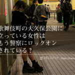 ◆歌舞伎町の大久保公園に立っている女性はもう警察にロックオンされている？