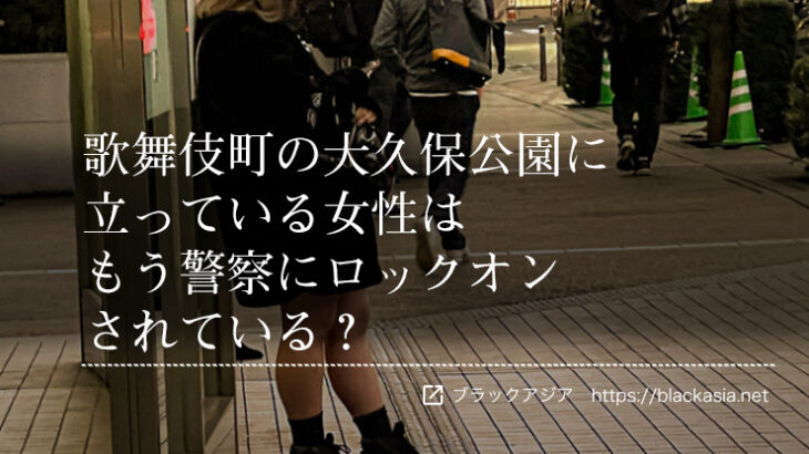 ◆歌舞伎町の大久保公園に立っている女性はもう警察にロックオンされている？